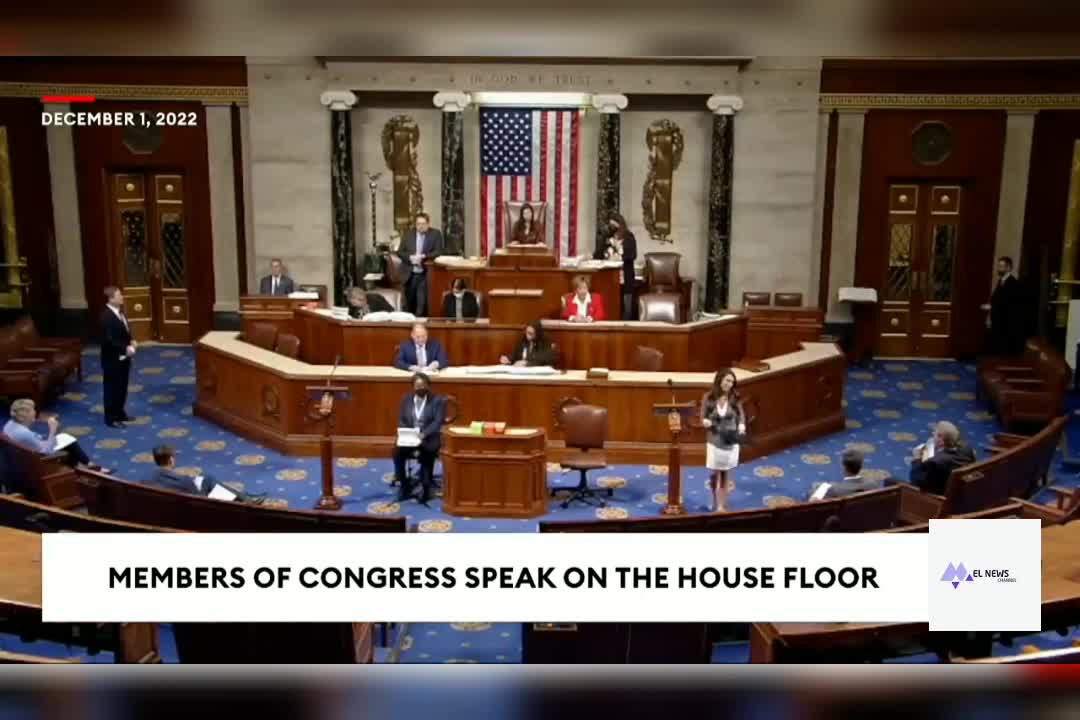 "The American People Have Spoken - They Have Fired You!"
