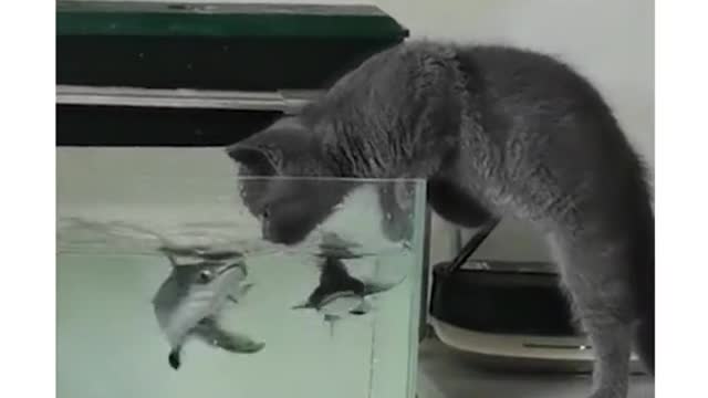 🐠🐟🐟 OMG shit I'm embarrassed to be bitten by a fish