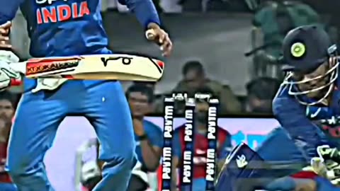 Ms dhoni wicket......... #wicket #msdhoni #cricketer #cricketfans