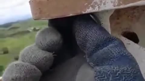 Seems safe