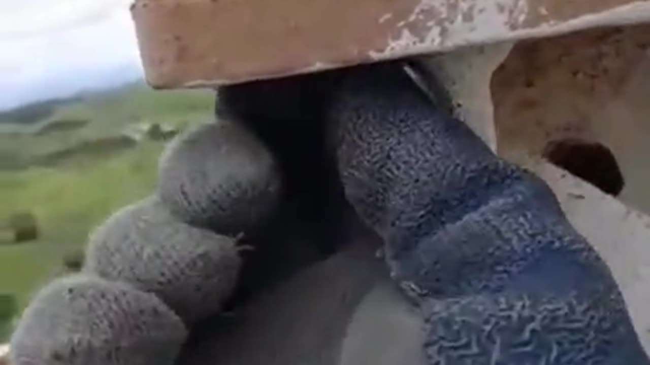 Seems safe