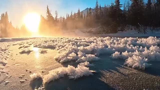 When the winter ice crystals meet an early morning sun ☀️ 😍✨! .