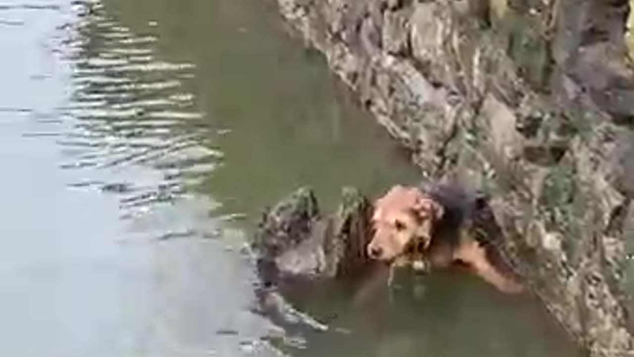 RUBY FALLS INTO THE RIVER THAMES