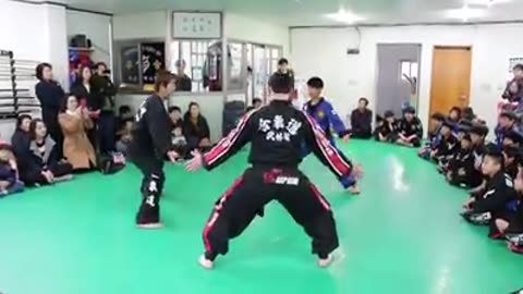 Hapkido