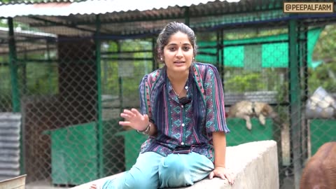 Ek bakri kutta kyun banna chahti hai? | India’s First GOAT Activist