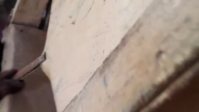 El mono pidiendo comida para comer con nosotros