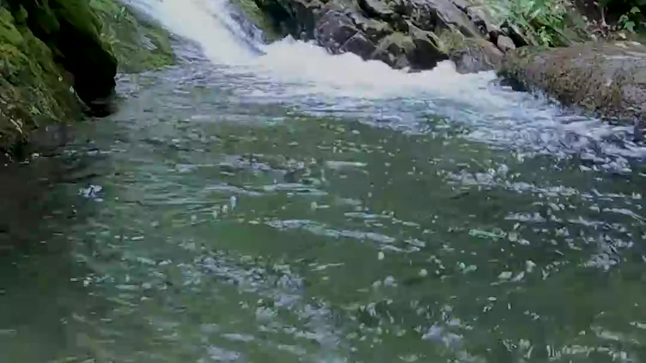 Sound of nature in mountain
