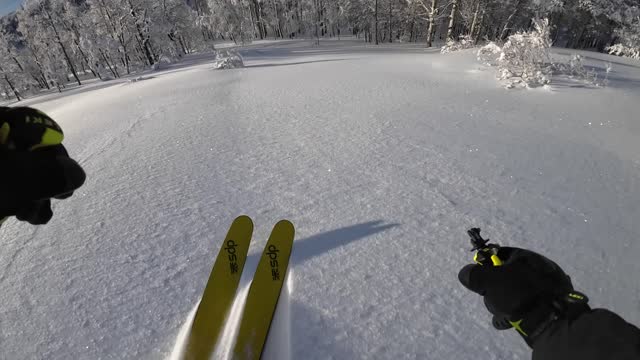 FINALLY A BLUE BIRD DAY 1ST RUN