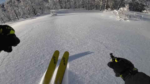 FINALLY A BLUE BIRD DAY 1ST RUN