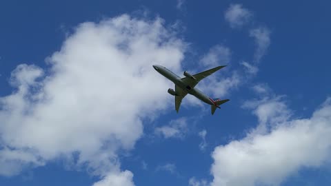 American Airlines Dreamliner