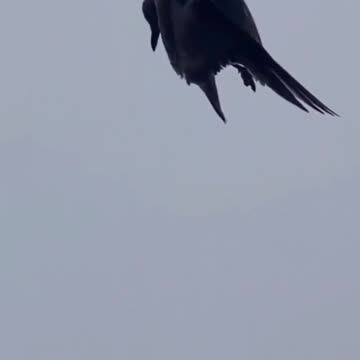 JULIE GREEN 🤲MINISTRIES WORD RECEIVED 7-2-22 UNUSUAL TIMES YOU ARE ENTERING INTO PROPHECY FULFILLED 2-18-23