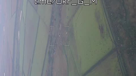 Dyliivka_08.08.2023