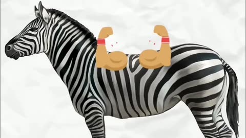 Why Zebras🦓 Can't Be Domesticated?