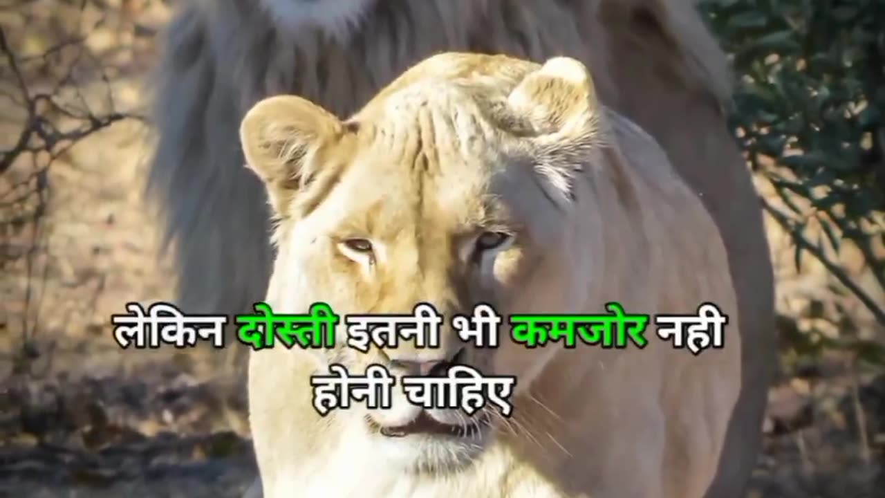 True Motivational Line in Hindi