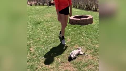 BAD DAY? Better Watch This - Try Not To Laugh Funny Video