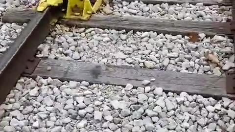 TRAIN DERAILMENT DEVICES