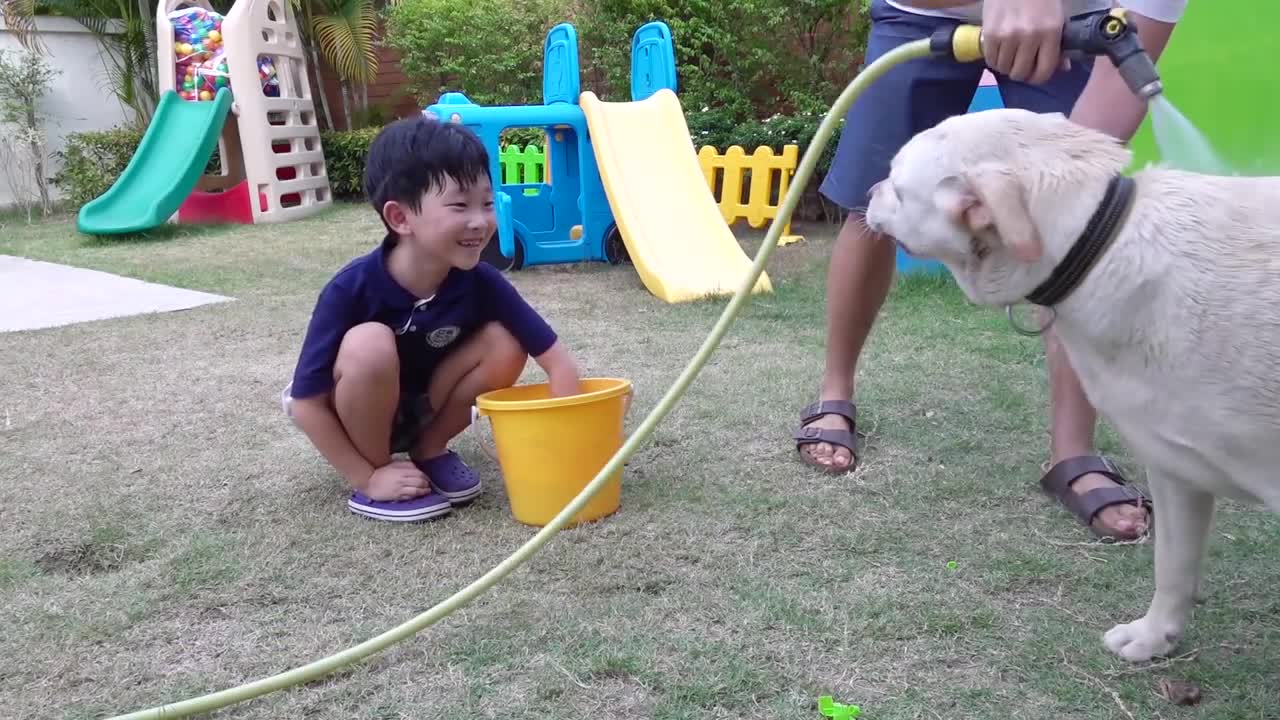 Kids Activity with Dog Bath Water Play Family Fun Playground