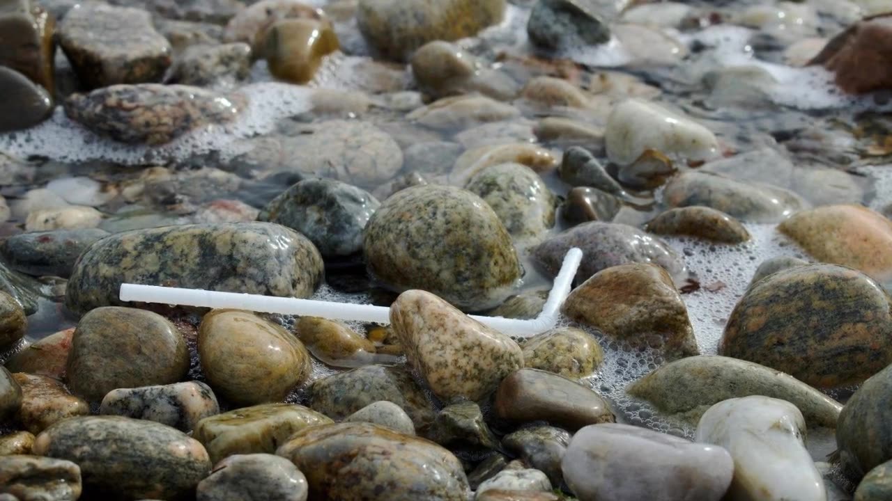 New Bioplastic Straw Degrades Even Faster in the Ocean Than Paper