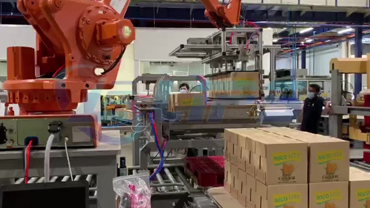 double line robot palletizer for arranged cartons #packaging#foryou#palletizer#machine