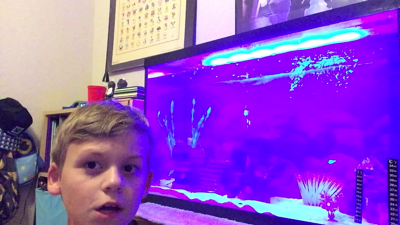 Tank Talk Episode 22