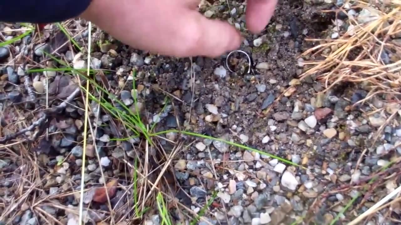 Season 2 , 110th hunt of 2012 , finding another silver ring