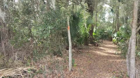Florida Trail Hike from Baseline Park to the Santos Trailhead, Absolutely Amazing!