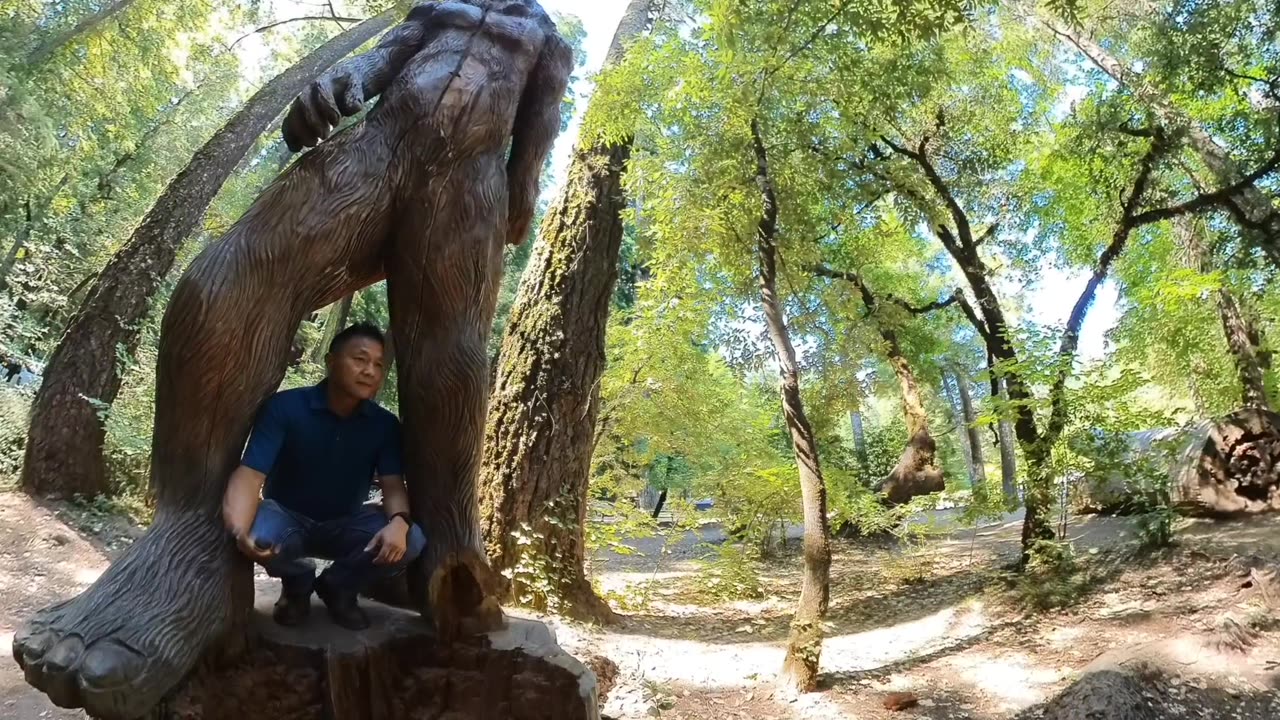 KaraBand Drive Thru Tree 2