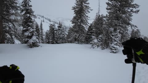 3/30 #4 A short but sweet unnamed spot below sunrise good powder