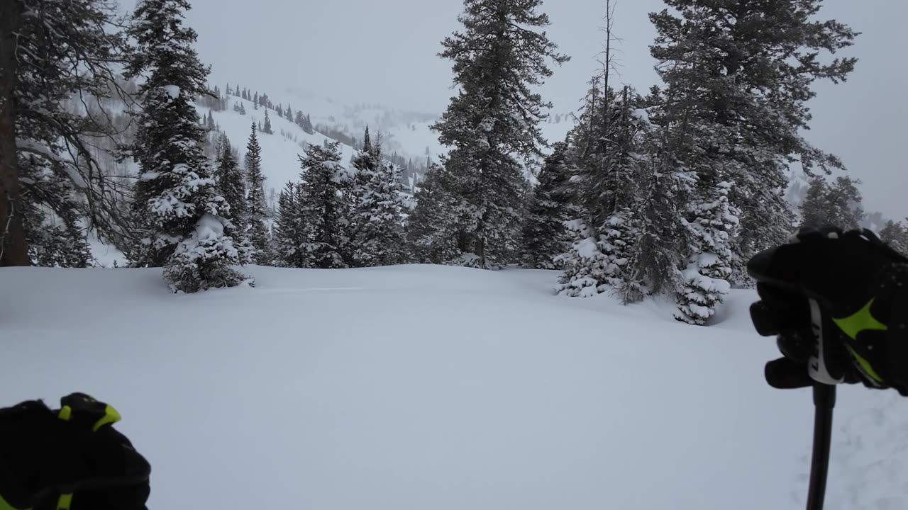 3/30 #4 A short but sweet unnamed spot below sunrise good powder