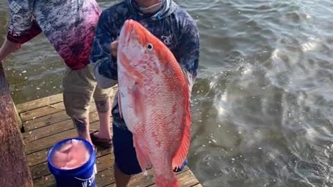 @nickstrayham hittin the ol fashion whack and stack in the #gulfofamerica