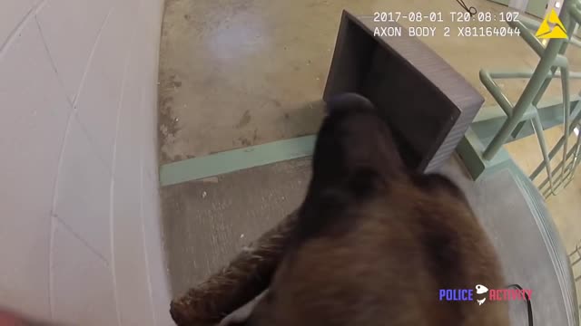 Bodycam Footage Of Deputies Siccing A K9 On Inmate