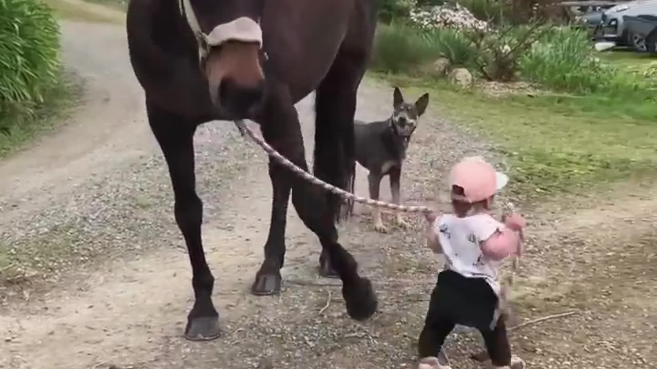 Cutest Babies and Horses-React to Each Other for........