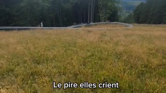 Combien de fois elle dit Lâches les freins 😂