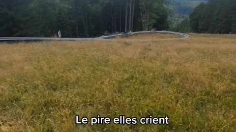 Combien de fois elle dit Lâches les freins 😂