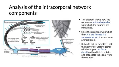 Intracorporal network (created by vaccine artifacts and graphene) brief summary