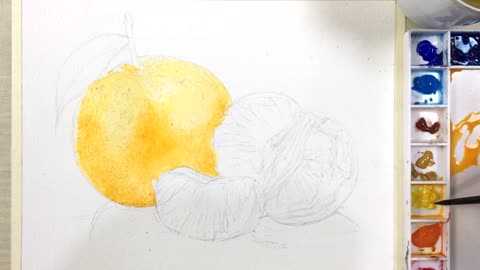 Master paints a delicate orange with watercolor 3