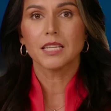 Tulsi Gabbard