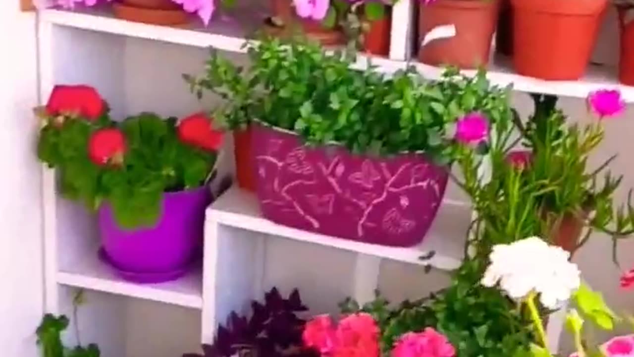 Beautiful garden
