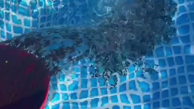 Wait for the end... it’s not a threat... i promise.