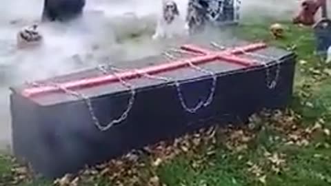 We get it...you won Halloween