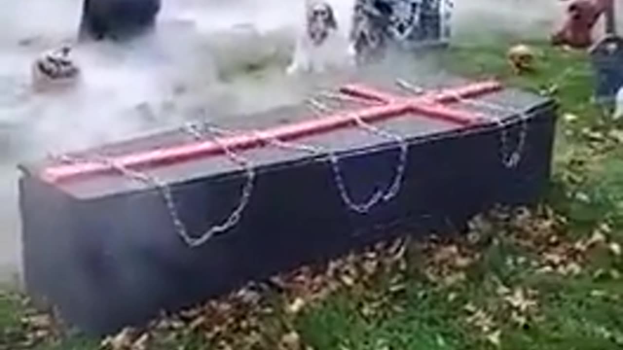 We get it...you won Halloween