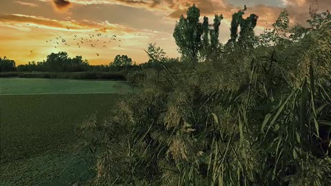 4:The beauty of the evening sun