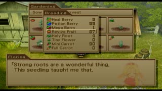 Wild Arms 3 - Gardening Walkthrough