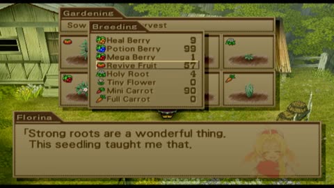 Wild Arms 3 - Gardening Walkthrough