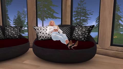 Trans oder gar nicht !?