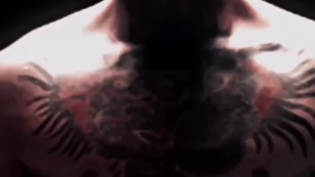 conor McGregor