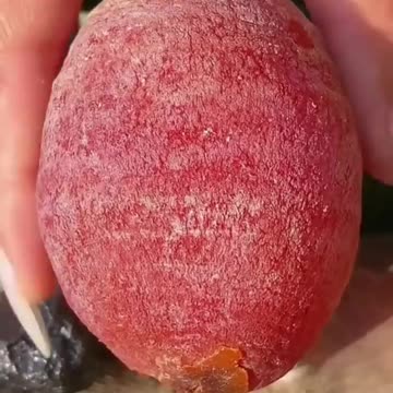 Fruit Picking/Eating episode 4