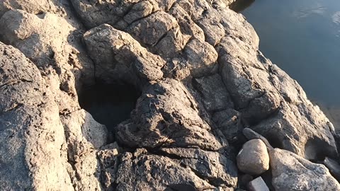 Pedra sobre pedra