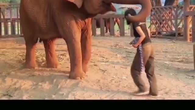 funnyvideos#animal#Love#seeyouagain