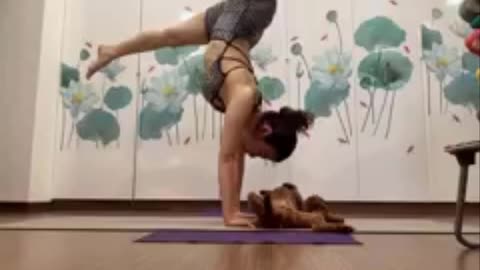 Yoga Handstanding Pose - LidiYoga